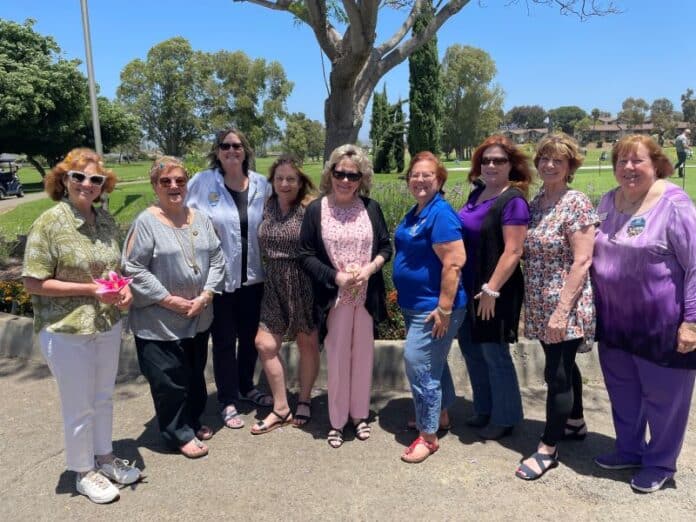 2025.SIVistaInstallationBoard