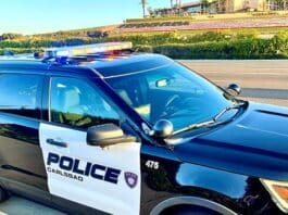 Arrest Made in Fatal Traffic Collision