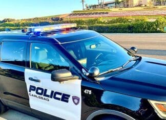 Arrest Made in Fatal Traffic Collision