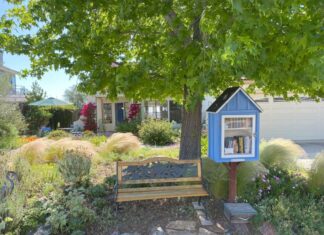 VID 2025 WaterSmart Landscape Contest Winner