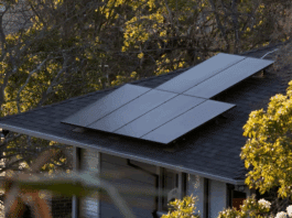 California Supreme Court Hands Victory to Rooftop Solar Panel Owners