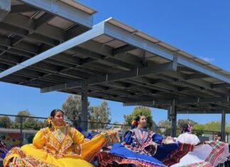 Fiestas Patrias: A Celebration of Culture