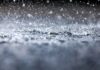 How Much Rain did Tropical Storm Rachel Bring to the San Diego Area?