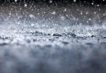 How Much Rain did Tropical Storm Rachel Bring to the San Diego Area?