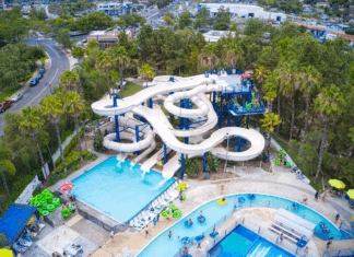 City of Vista News Headlines Wave Waterpark Weekends and More