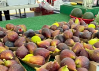 State Street Farmers Market Fall Flavors Are Here at the Market