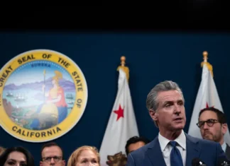 Newsom Signed Nearly 800 Laws