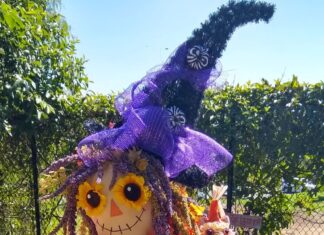 Fall Fun Festival 2025 at Alta Vista Botanical Gardens Saturday October 11