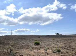 Fire Risks Derail Carlsbad’s Solar, Battery Storage Project