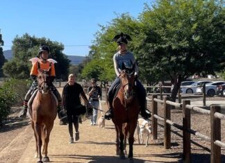 Ride & Stride Horse Heritage Festival This Sunday