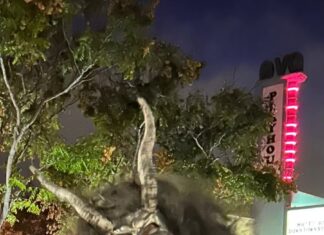 WoW What a Night Vista’s 4th Fright Night Was