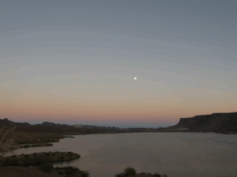 Road Trip with Riley