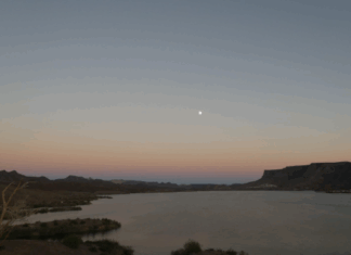 Road Trip with Riley