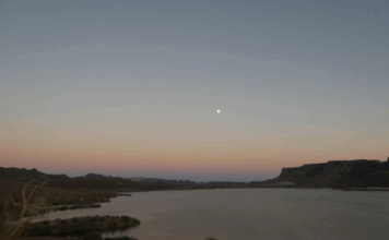 Road Trip with Riley