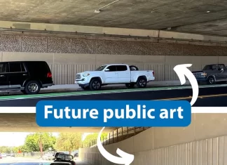Carlsbad Needs Your Input! Your Voice Can Shape the Chestnut Underpass Art