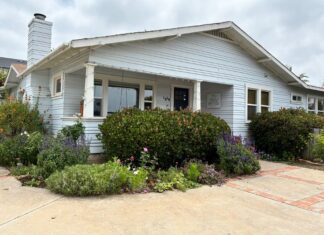 Bold Color Wins 2025 Oceanside Landscape Makeover Contest