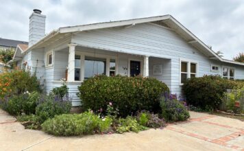 Bold Color Wins 2025 Oceanside Landscape Makeover Contest