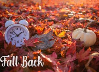 Be Prepared This Weekend for Your Clocks to “Fall Back” for Daylight Saving Time