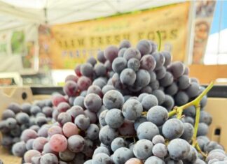 Carlsbad Village State Street Farmers Market