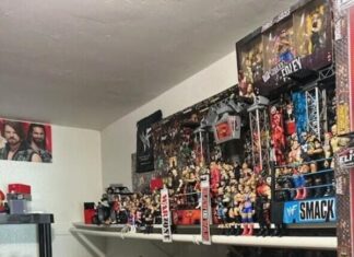 Retail Theft – Vista Suspects arrested