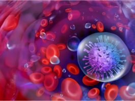 Multiple Myeloma Research Laboratory at Moores Cancer Center Seeks Charitable Donations