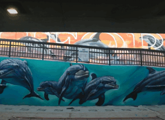 Colorful Pedestrian Tunnel Mural Nears Completion