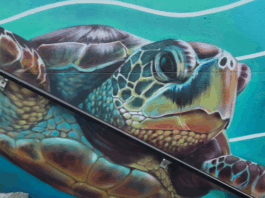 NCTD Unveils Community Artwork at Oceanside Transit Center