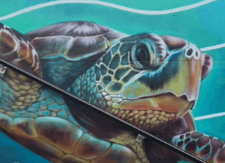 NCTD Unveils Community Artwork at Oceanside Transit Center