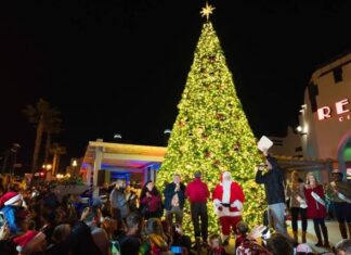 Oceanside’s Holiday Tree Lighting Ceremony and More
