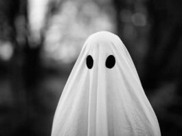 I Like Beer the Podcast Deja Brew: Drinking with Ghosts