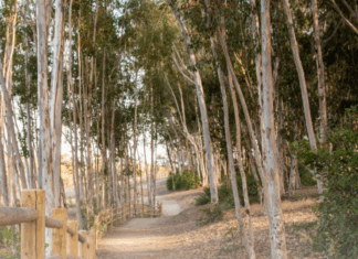 City of Carlsbad Happy Trails Newsletter