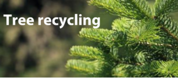 News from the City of Carlsbad | Dec. 18, 2025 Holiday Tree Recycling and More