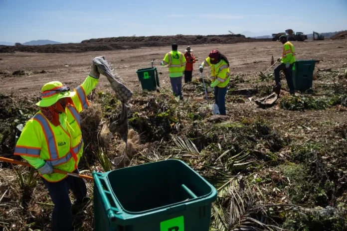 miramargreenery-14-780x520