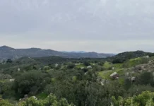 Escondido Creek Conservancy launches $1M match campaign