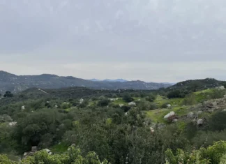 Escondido Creek Conservancy launches $1M match campaign