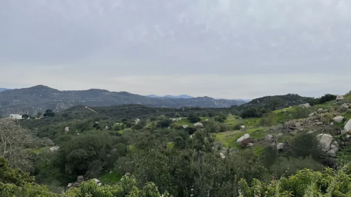 3a8fb031-1597-491d-ab73-7c3c8815d5b0_2000x1125