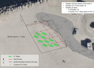 The City of Oceanside’s Coastal Dunes Restoration Pilot Implementation Underway