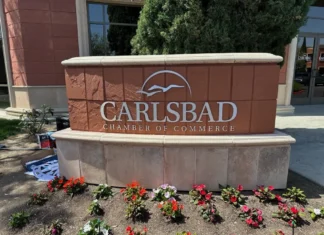 Chamber Chat: Welcome to Chamber 101