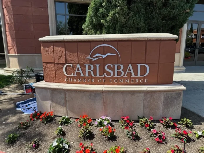 dfa93205-4c4e-4ef9-aa80-940fa9a9b57f_1024x768