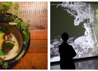 Oceanside Museum of Art Joins Visit Oceanside’s Swell Plates Series for Art-Inspired Tasting & Talk with 24Suns and Artist Francisco Eme