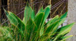 News from the City of Carlsbad Next City Council Meeting and More