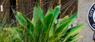 News from the City of Carlsbad Next City Council Meeting and More