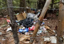 ‘Little death bombs’: Illegal cannabis farms poison California’s forests. Who’s cleaning them up?