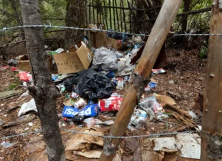 ‘Little death bombs’: Illegal cannabis farms poison California’s forests. Who’s cleaning them up?