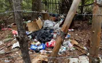 ‘Little death bombs’: Illegal cannabis farms poison California’s forests. Who’s cleaning them up?