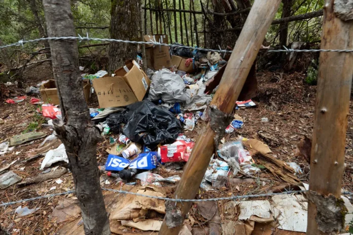 11225-Shasta-Trinity-FG-43-CM