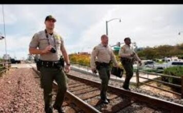 Transit Enforcement Unit Operation