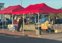 Escondido Adopts Street Vending Ordinance