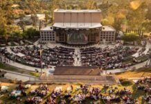 Speak Up on Moonlight Amphitheatre Concessions