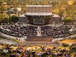 Speak Up on Moonlight Amphitheatre Concessions